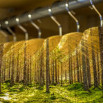 CONSELHOS PRÁTICOS PARA COMPRAR MENOS ROUPAS